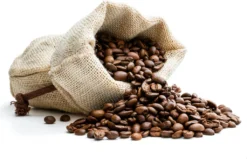 Café Intención Ecológico Caffè Crema | Fairtrade | Ganze Bohne | 1000g 17 Café Intención Ecológico Caffè Crema | Fairtrade | Ganze Bohne | 1000g -Ausgewählte Coffeeshops 6f680653d8c0d3fd4e227255032377e4