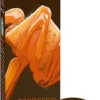 Tchibo Cafissimo Flavoured Edition Espresso Caramel, 10 Kapseln